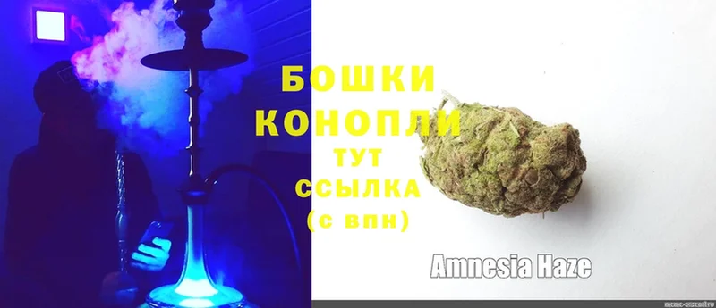 Бошки марихуана SATIVA & INDICA  Губкинский 